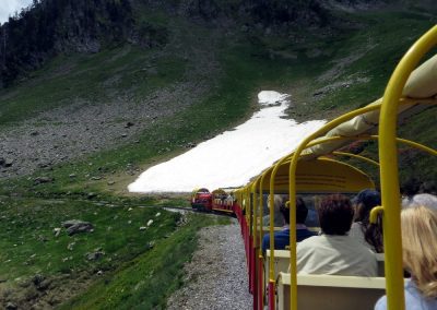 Artouste train