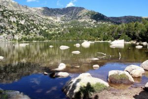 Estany de Malniu