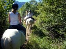 Family activity holiday