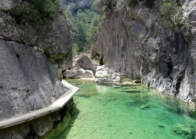 Parrisal