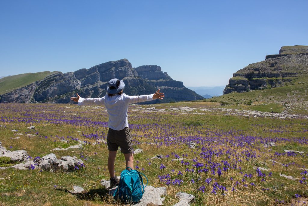 Iris in Ordesa