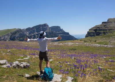 Iris in Ordesa