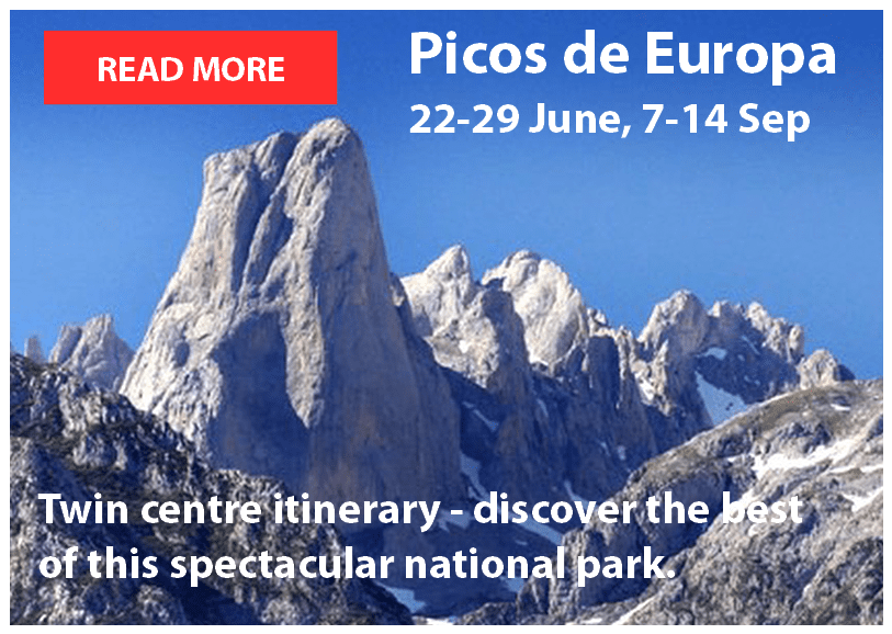 Picos de Europa walking holiday