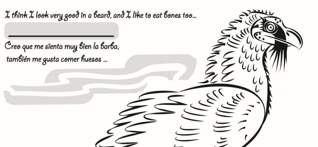 Downloadable Pyrenean animal colouring book