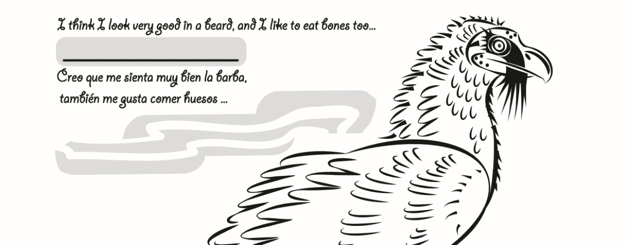 Pyrenean animal colouring book