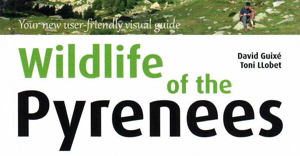 New Pyrenees wildflower and fauna guidebook in English