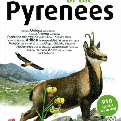Pyrenees nature guide