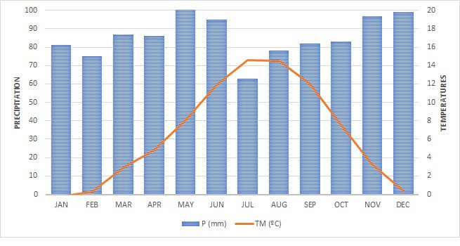 Sallent de Gallego precipitations