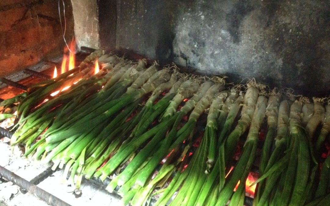 Calcotada in Sardas