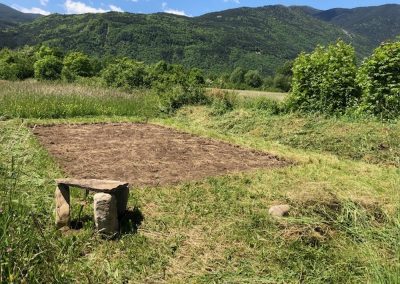 The vegetable patch