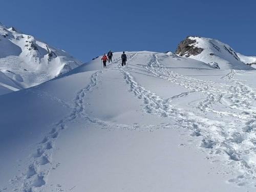snow shoeing guided holiday
