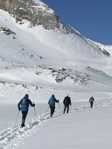 snow shoeing guided holiday