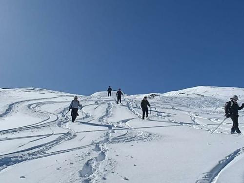snow shoeing guided holiday