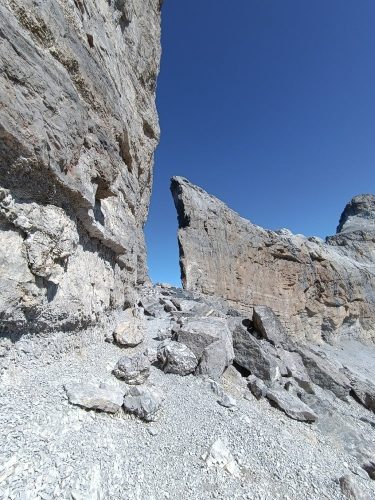 Brecha de Rolando