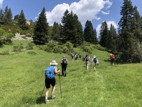 Hiking through the beautiful meadows of the Catalan Pyrenees