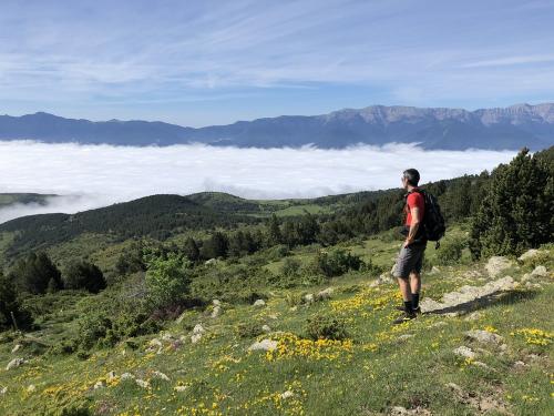 A sea of clouds below us on day 3's hike