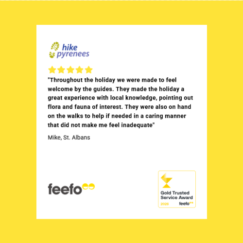 Feefo reviews 