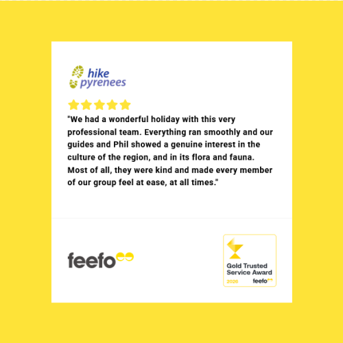 Feefo reviews