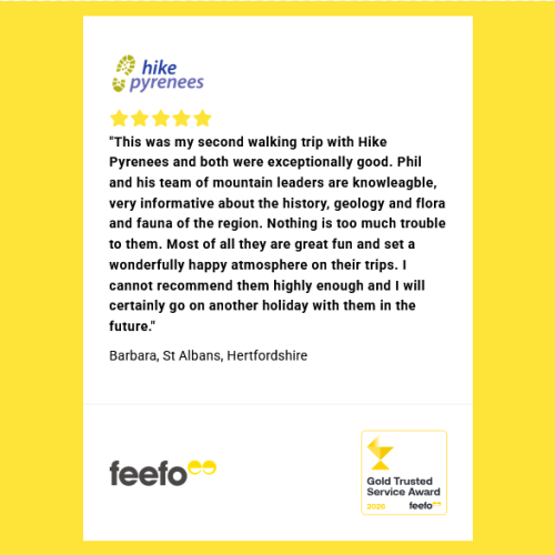 Feefo reviews 