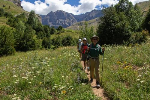 In the alpine meadows of La Ripera