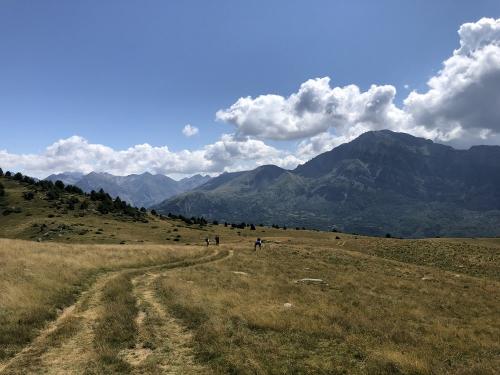 Through the meadows