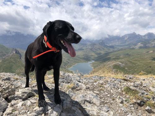 Ruby on the summit of Pacino