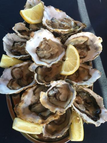 Fresh raw oysters