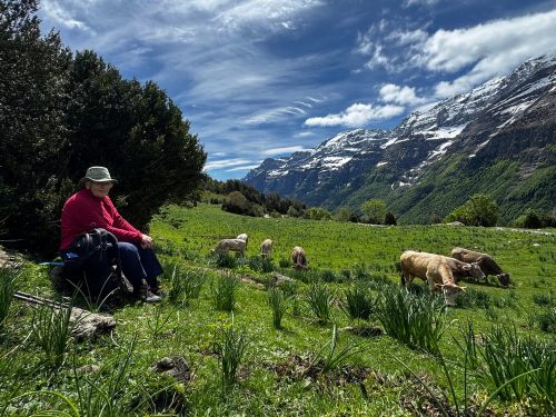 Ordesa National Park (22)