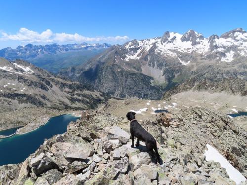 Ruby taking in the views
