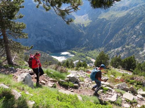 On our way down