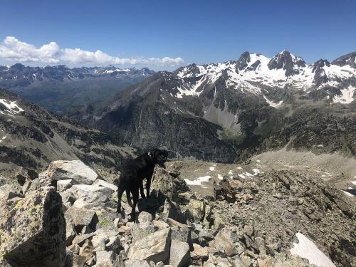 Taking in the views