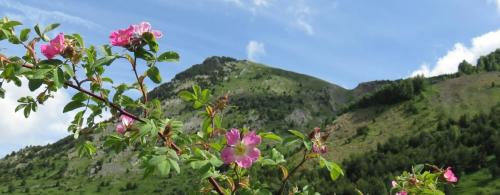 Punta del Pacino (1965m)