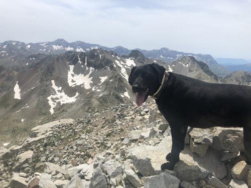 Ruby on the summit of Pico Bacias
