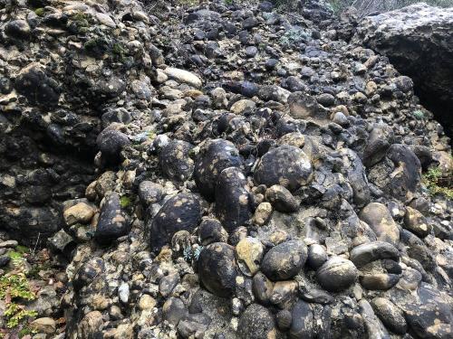 The rock changes to conglomerate near the top