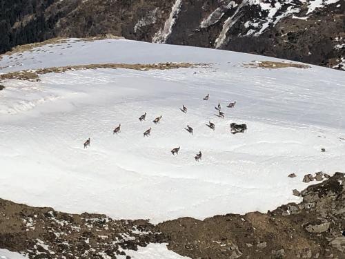 snow shoeing guided holiday