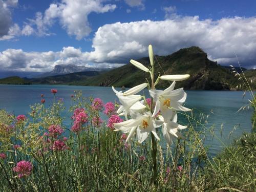 Lily in front of Embalse de Mediano
