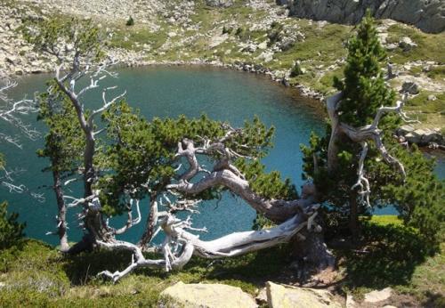"Ibones" - mountain lake - de Arriel