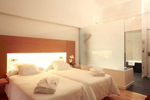 Hotel Tierra de Biescas - twin room