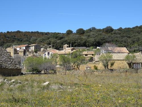 Peules de Sarsa. Day 4