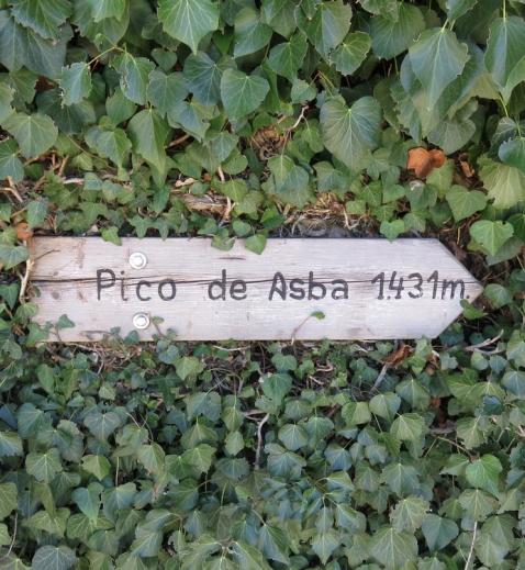 Signal to Pico de Asba. Day 4