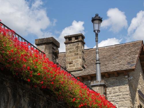 Biescas' street detail