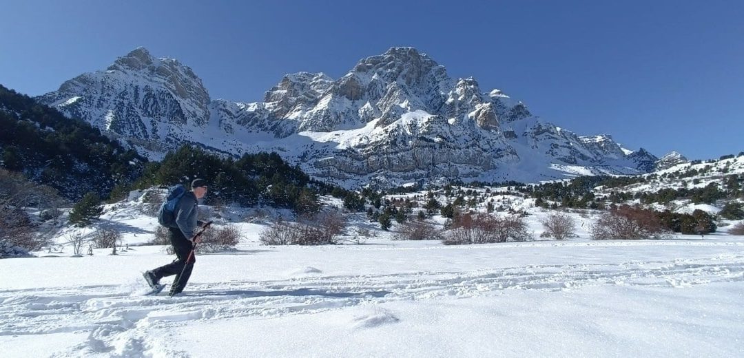 Snowshoeing in the sunshine