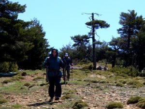 walking above san juan